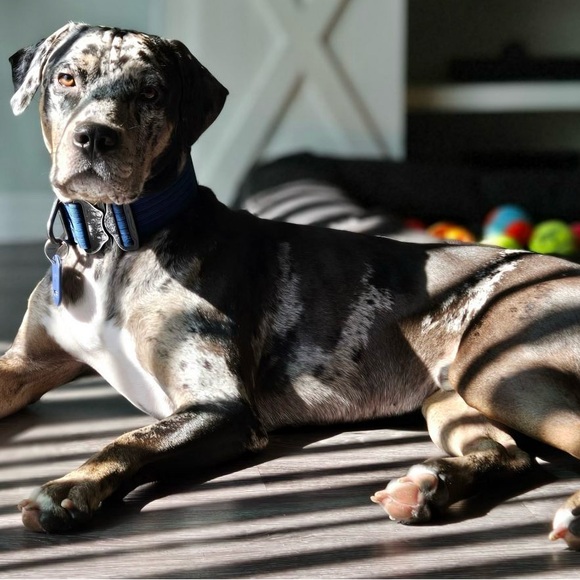 Meet your Posher, Lori Cantalupo - Picture 11 of 16